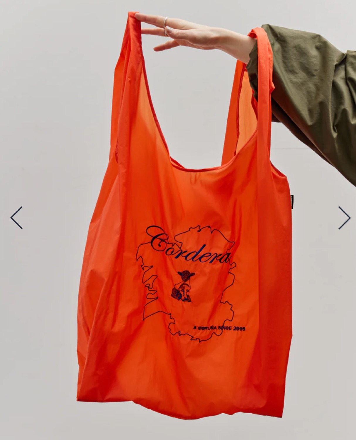 Bolso